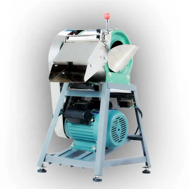 Electric vegetable cutter/cutter for restaurant use
