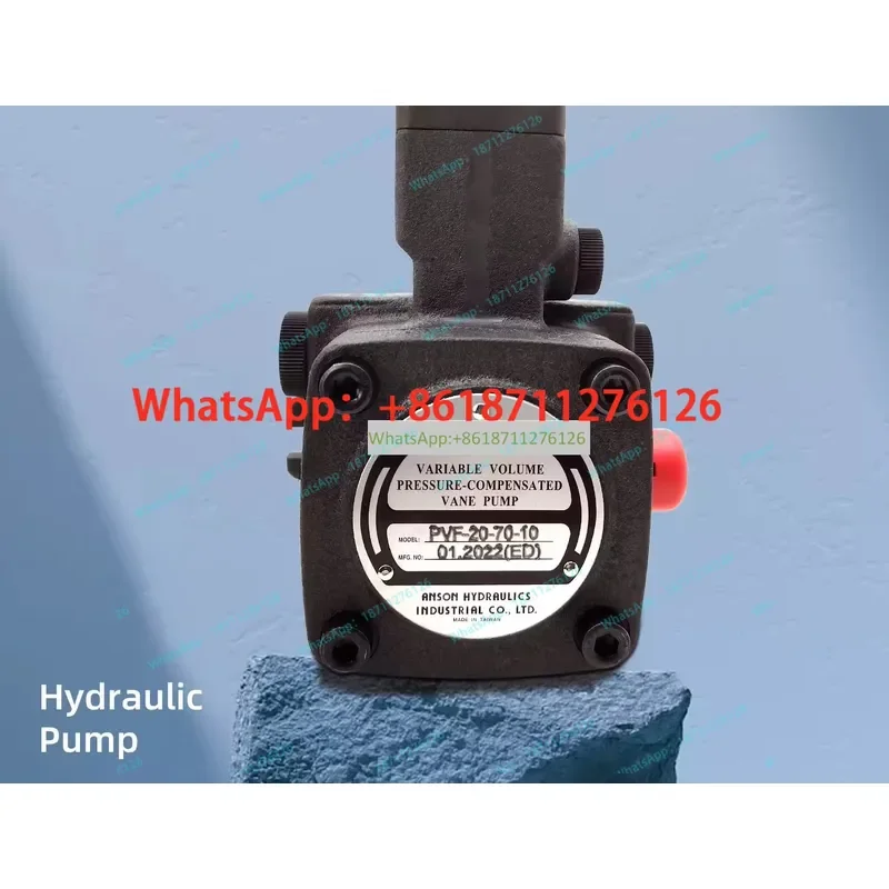 Electric Vane Pump for Ansong PVF-30 PVF-40 PVF-12 PVF-15 PVF-20 PVF-70 PVF-55 PVF-35 PVF-10