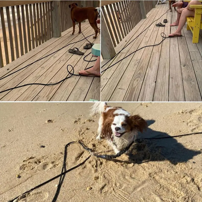 5M/10M/15M lange Trainingsleine für Hunde – robuste Nylon-Rückrufleine für Agility-Training, Hundeleine für mittelgroße und große Hunde – Detail 9