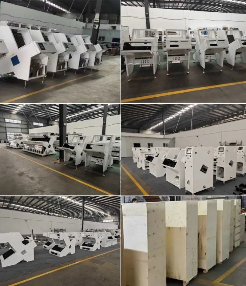 Small coffee beans, tea leaves, grains color sorter, suitable for a variety of beans color selection, color and shape sorting