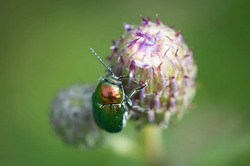 

RC Car Road Barriers Remote Control Car Accessories Drifting Race Track Barrier Traffic Splicing Stereo Roadblock Traffic Scene