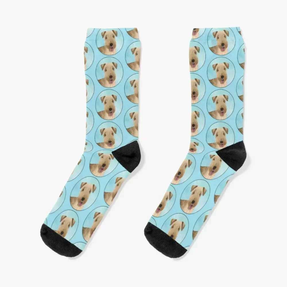 Lakeland Terrier Painting - Cute Original Dog Art Socks Men's Running Climbing Socks Girl Men's