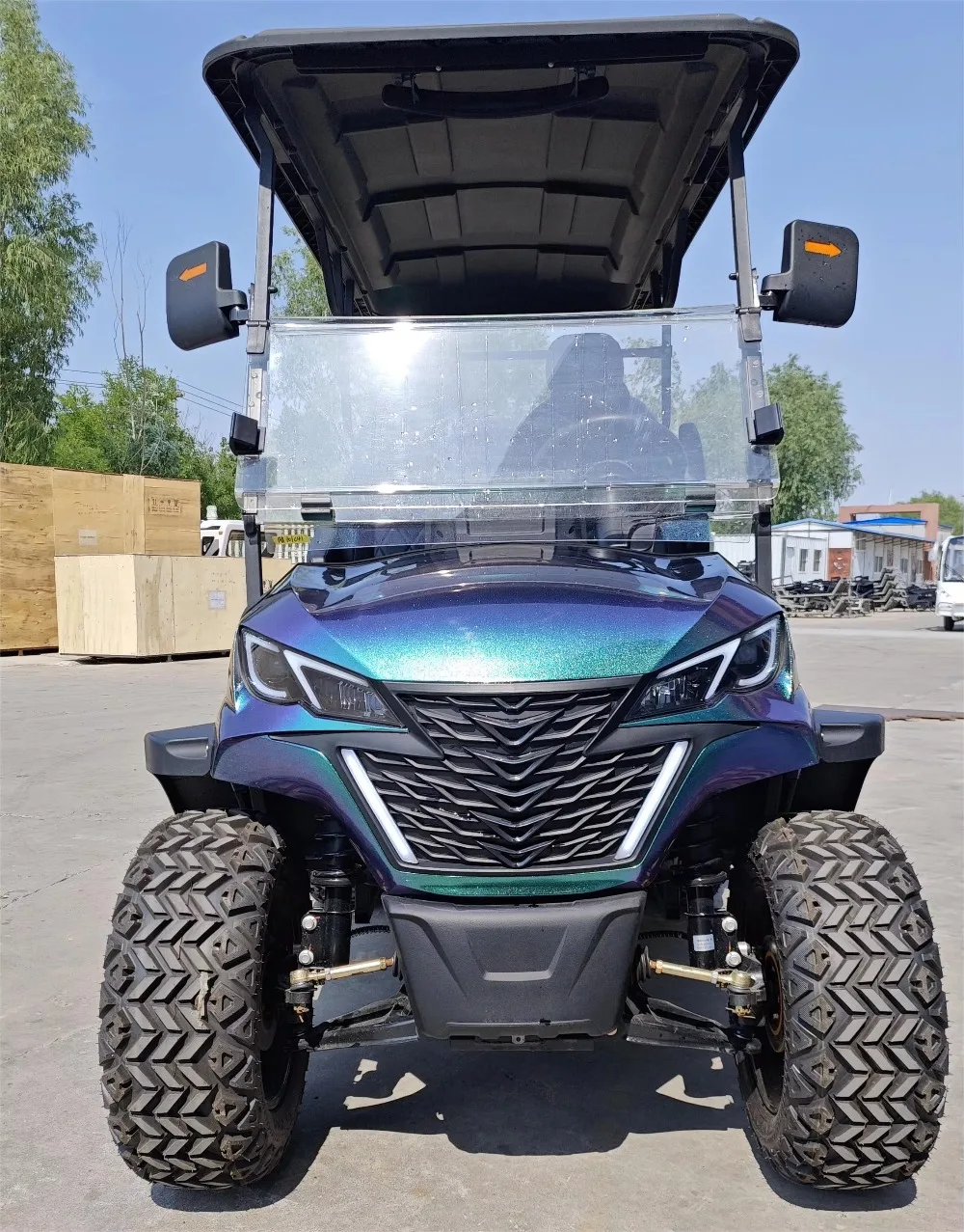 Durable Stylish 2-10-Seater Electric Golf Carts with Long Battery Life Free Custom Body Color