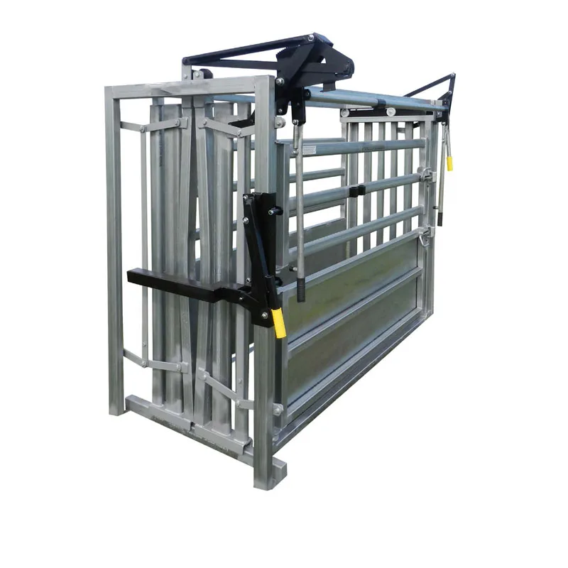 Advanced Design of Metal Pipe Hydraulic Extrusion Cattle Chute Head Extrusion Extrusion Cattle Processing Equipment
