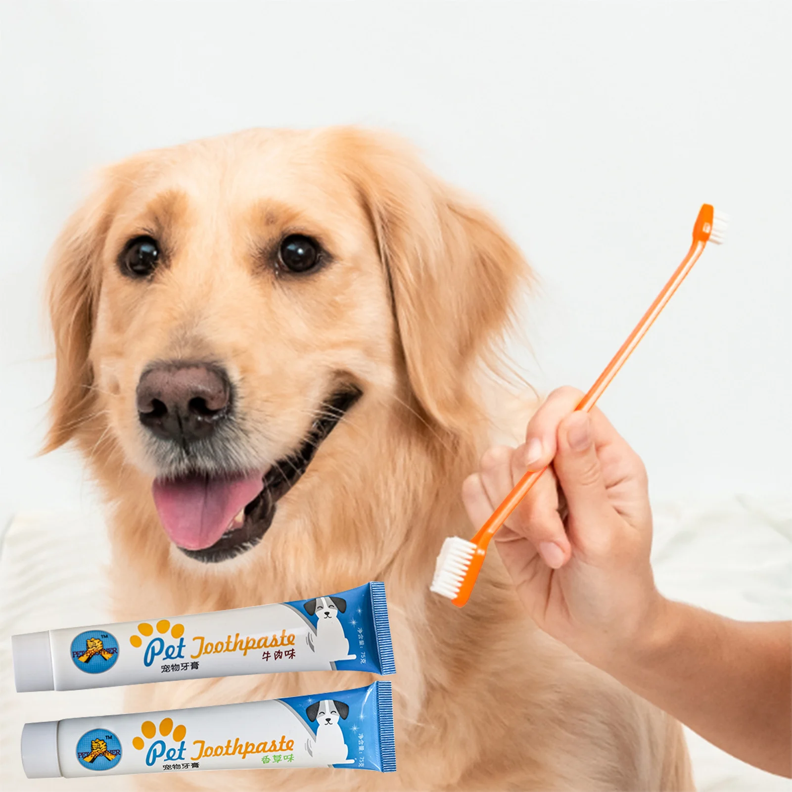 New Pet Toothpaste For Dogs Cats Helps Reduce Tartar And Plaque Helps Reduce Tartar And Plaque Buildup Perros Productos