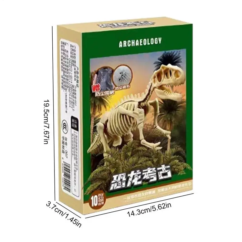 Dinosaur Skeleton Dig Kit Skeleton Digging Dino Toys 3D Dinosaur Skeleton Puzzle Display Models Buildable Dino Fossil Model For