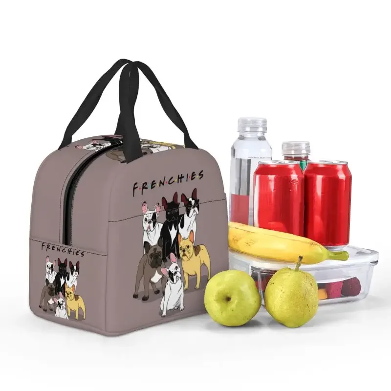 Bolsas de almuerzo aisladas divertidas para Bulldog Francés, enfriador térmico impermeable para perros y animales, caja Bento para niños, escuela y oficina