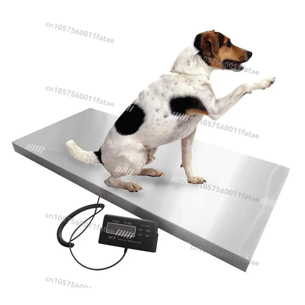 

Large Countertop Scale Stainless Steel Pet Livestock Scale Express Logistics Commercial Electronic