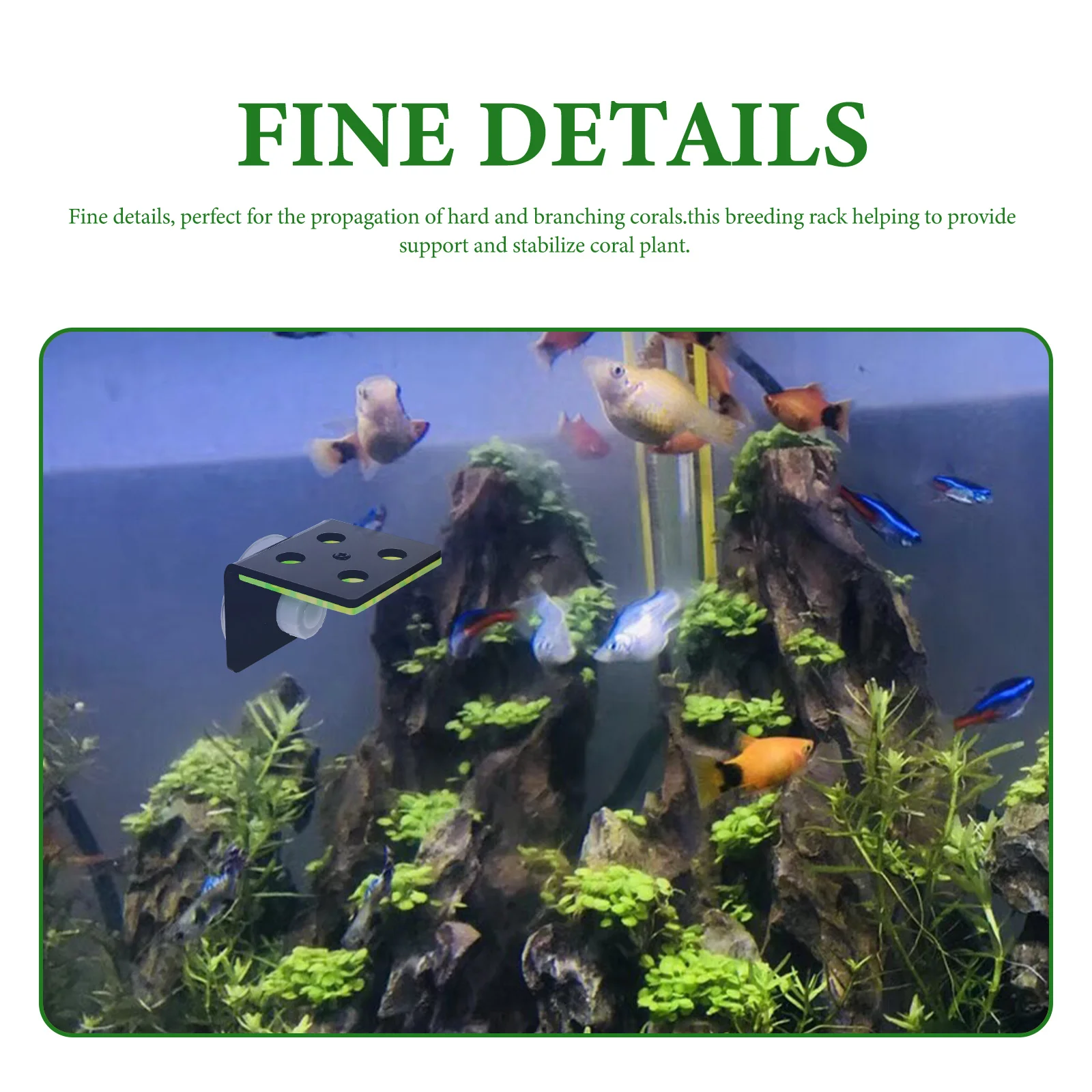 

Fluorescent Green Rack Suction Cup Coral Support Aquarium Shelf Fish Tank Accessories Coral Stand For Hard Branching