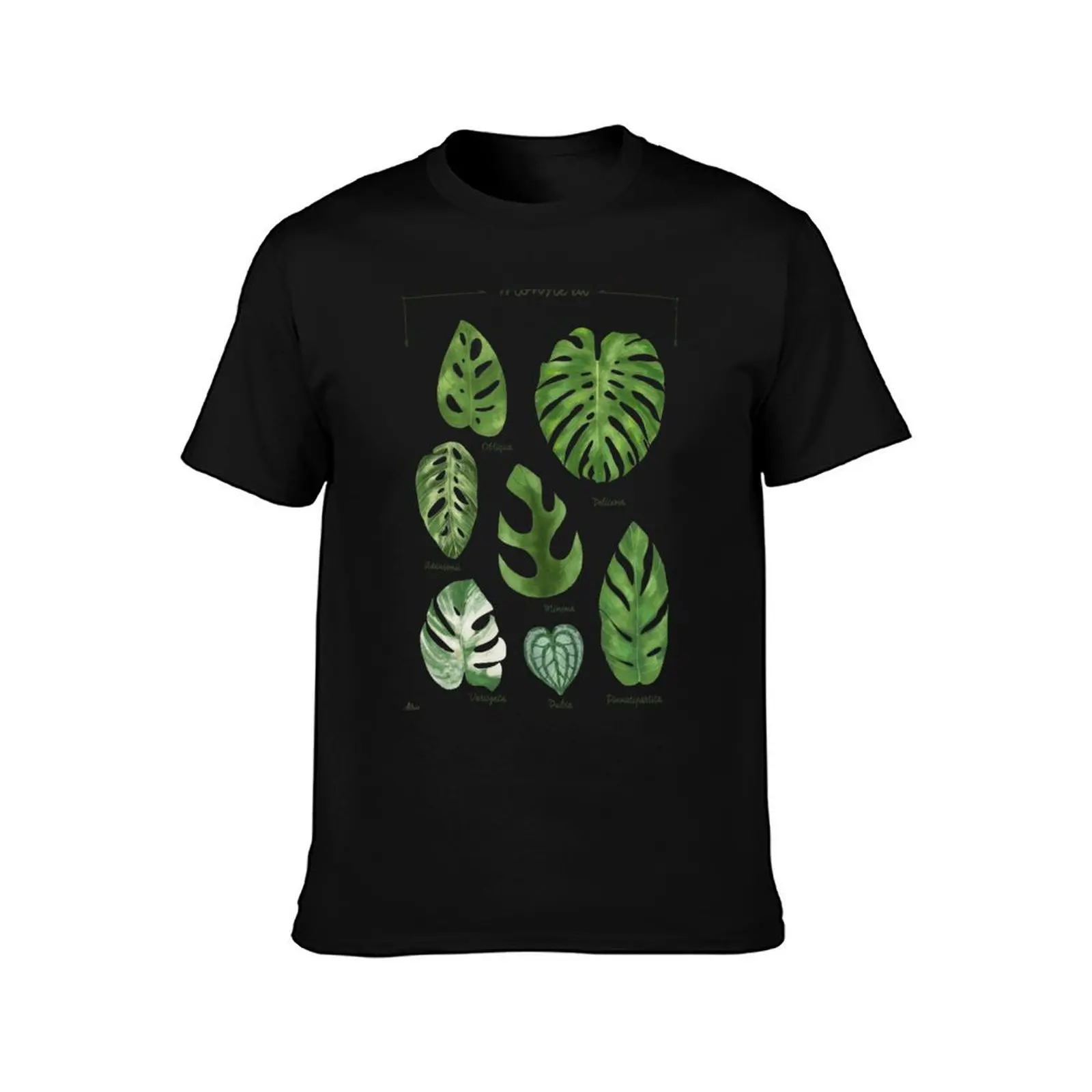 Monstera varieties illustration foliage leaf species T-Shirt Art Pattern Printed Casual Top T-Shirt
