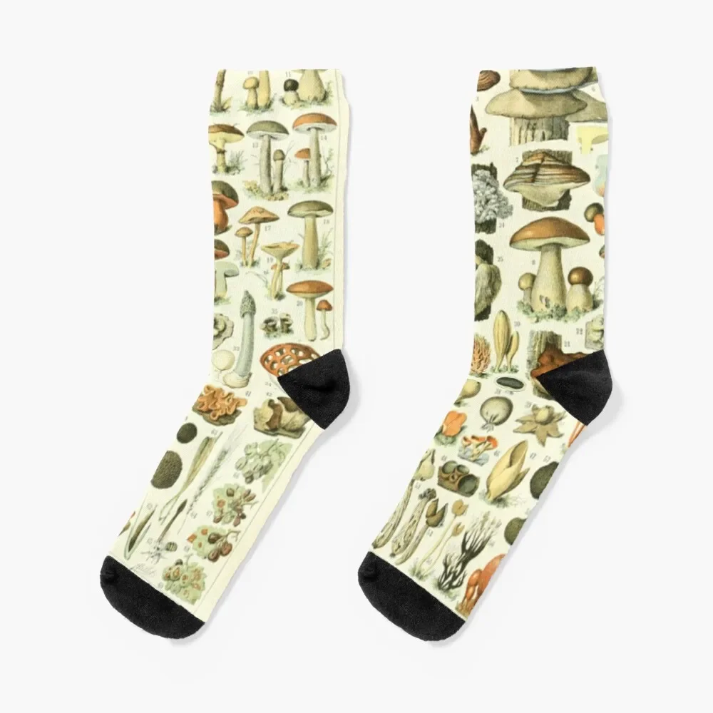 

Wild Mushroom Chart Socks ankle Novelties funny sock Girl'S Socks Men's