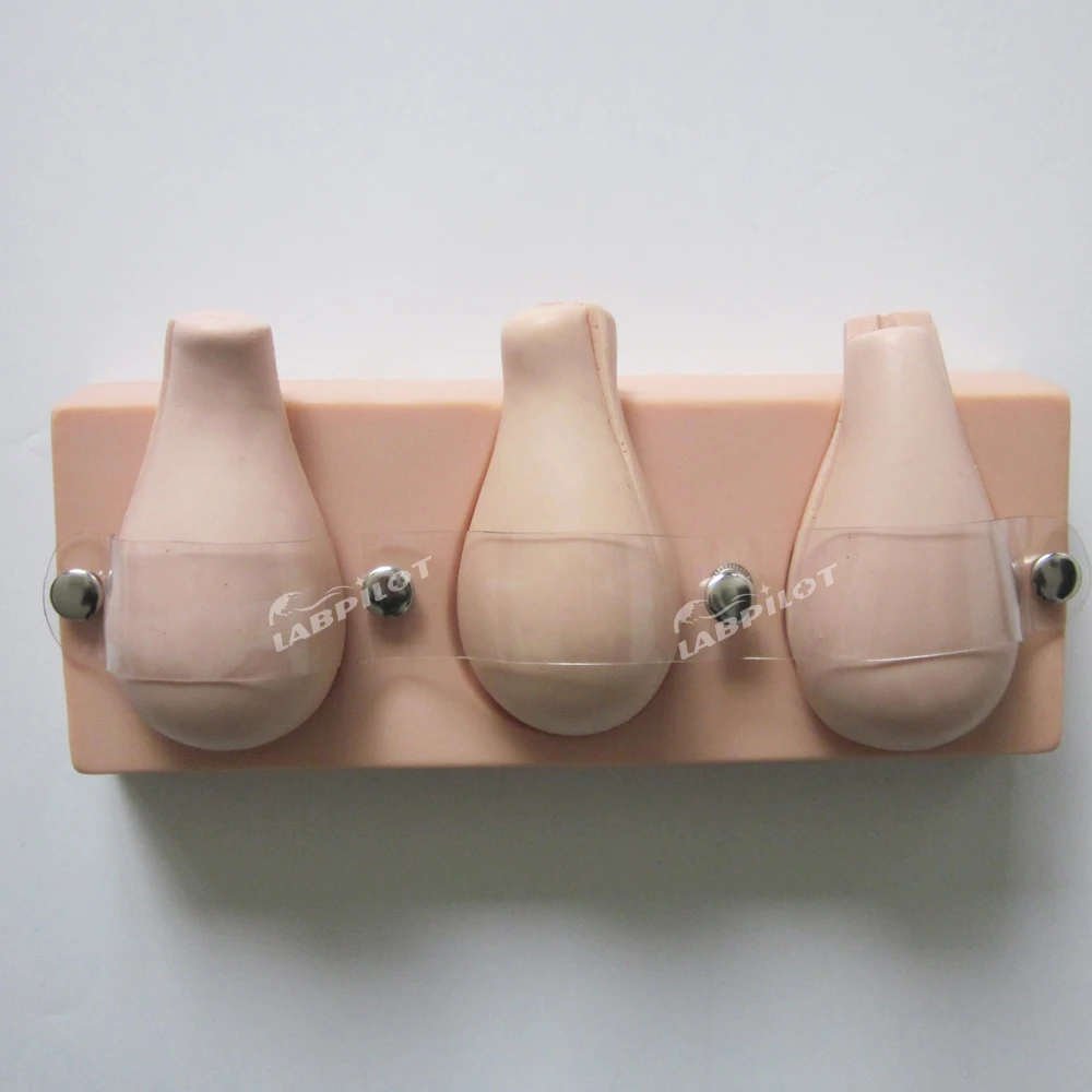 

Artificial Abortion Simulated Uterus Contraception Uterine Pregnancy Anatomy Teaching Model