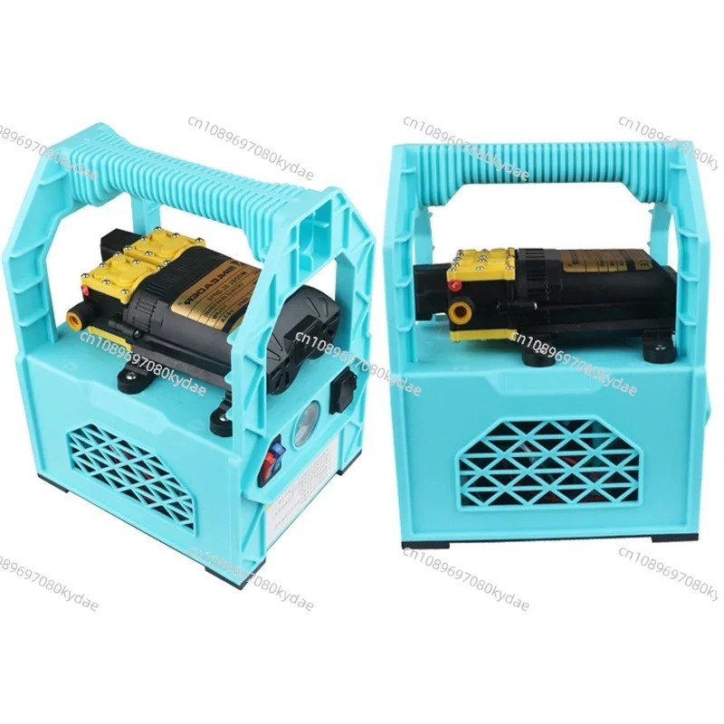 

Small Portable Dual Pump Sprayer Rechargeable Water Pump Car Wash Irrigation Spraying Garden Tools Agricultural