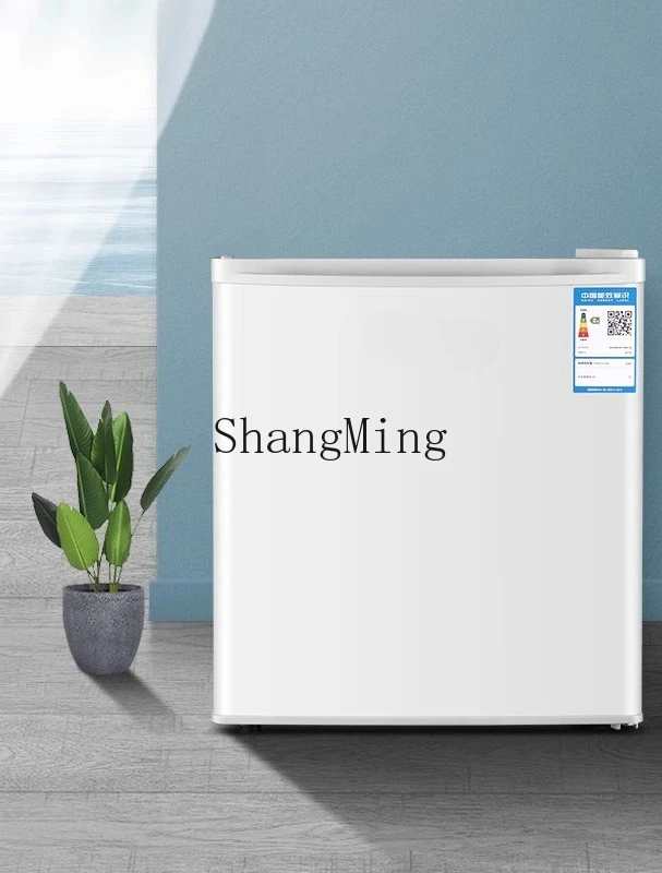 ZYY piccolo congelatore domestico piccolo frigorifero congelatore verticale congelatore completo