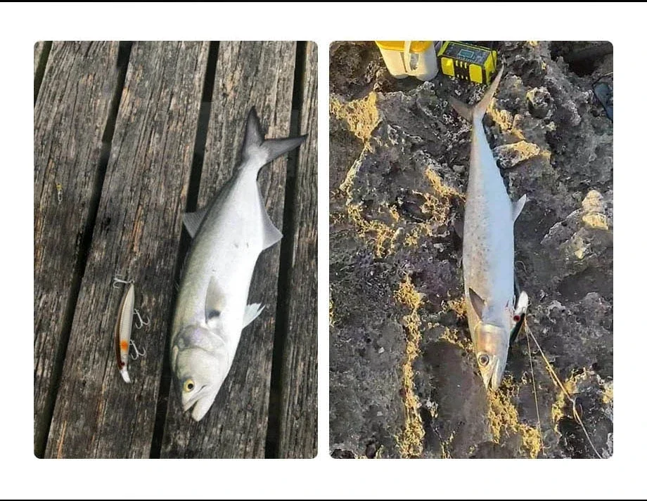 13 سنتيمتر 23 جرام Jerkbait العائمة أسماك الصيد إغراء Ima جيودو 130MD المتذبذب ل القاروص الأصفر بونيتو KingFish Leerfish Amberjack