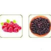Stainless Steel 180r/M Electric Grape Crusher Crushing Blueberry Mulberry Berry Fruits Brewing Equipment Machinery