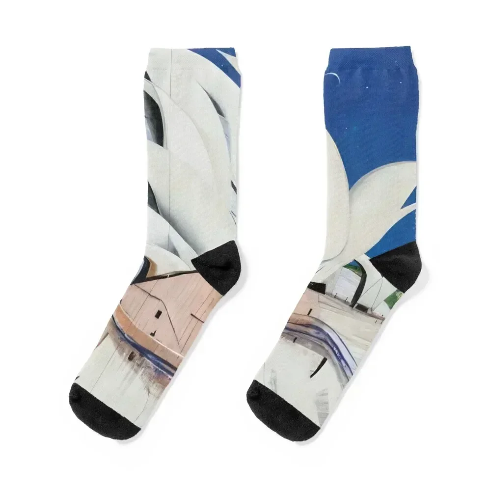 

Brett Whiteley Socks essential Novelties luxury Antiskid soccer Socks Male Women's