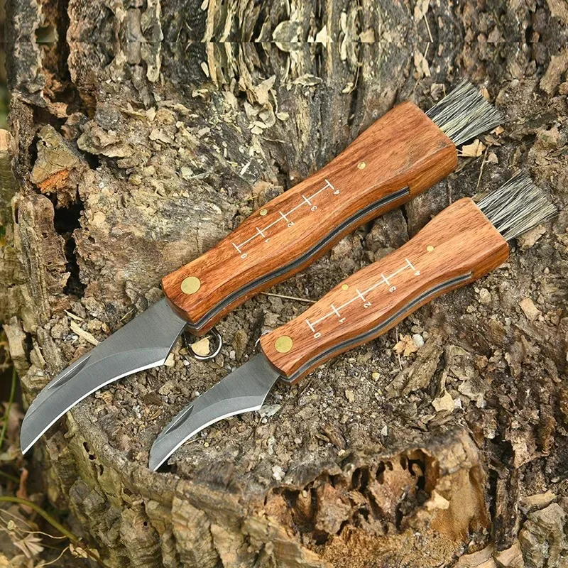 Stainless Steel Folding Knife Multifunctional Brush Outdoor Mini Mushroom Knife EDC Wooden Handle Sharp Camping Hunting Survival