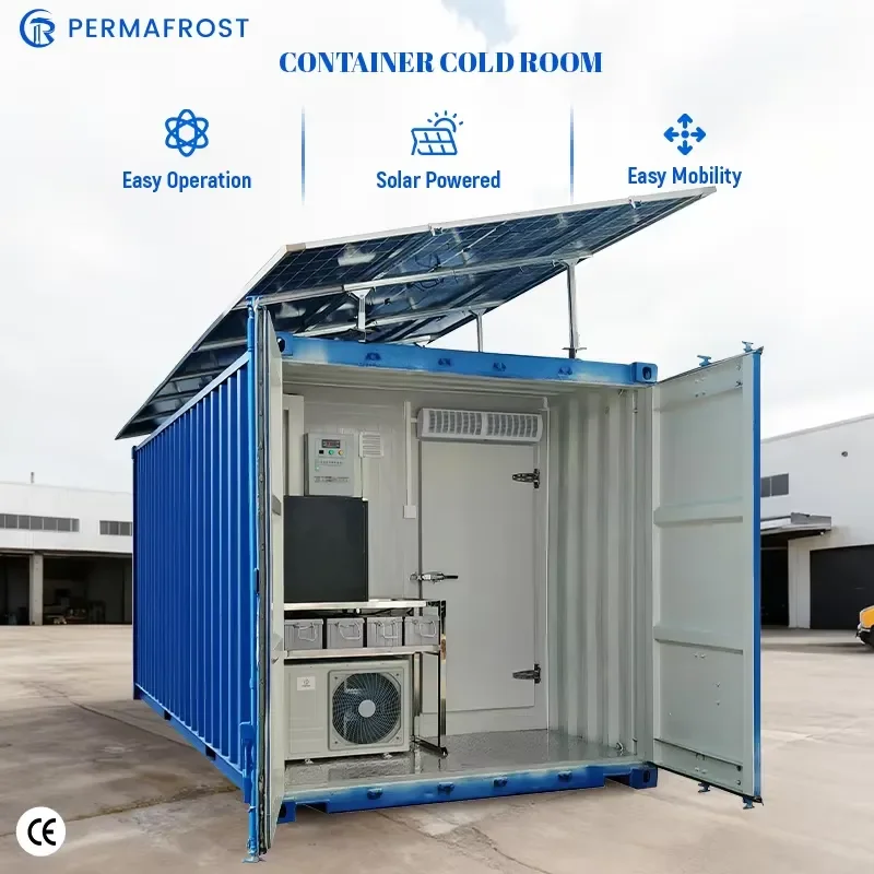 20 Foot Automated Solar Container Farm Engine Drive System Integrated Cold Storage Hydroponics System for Leafy Vegetables