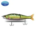 COLOR-BASS-006