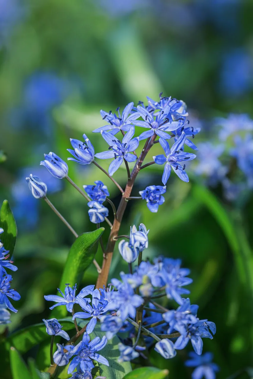 2Pcs Steel Steering…