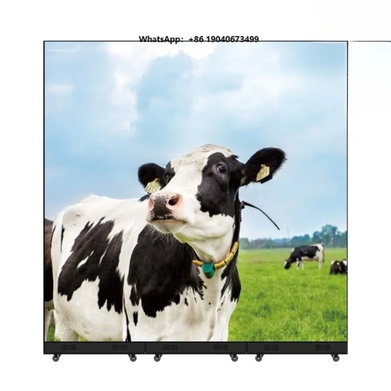Fantasy View Indoor P2 LED Panel Ultra-Thin Flexible Soft Transparent Screen IP65 Self-Service Business Shopping Mall shi