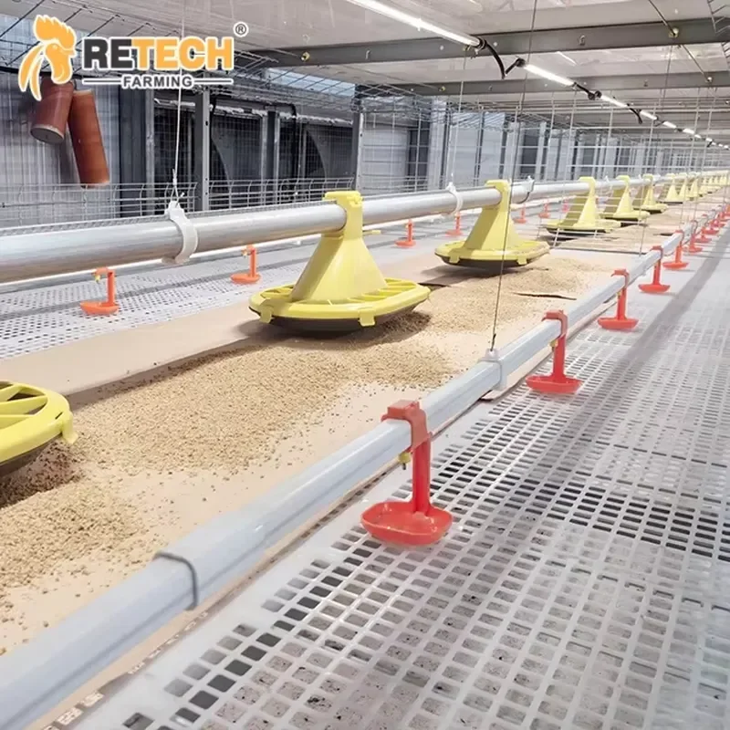 Retech Farming H-Type Hot Dip Galvanized Automatic Chain-type Harvesting Broiler Cage Equipment with Environment Control