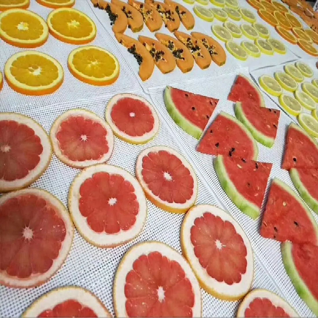 Dehydrator Sheet For Food Dehydrator,10 Pcs 29X37cm , Silicone Sheets, Fruit Dehydrator Mats, Silicone Dehydrator Sheets