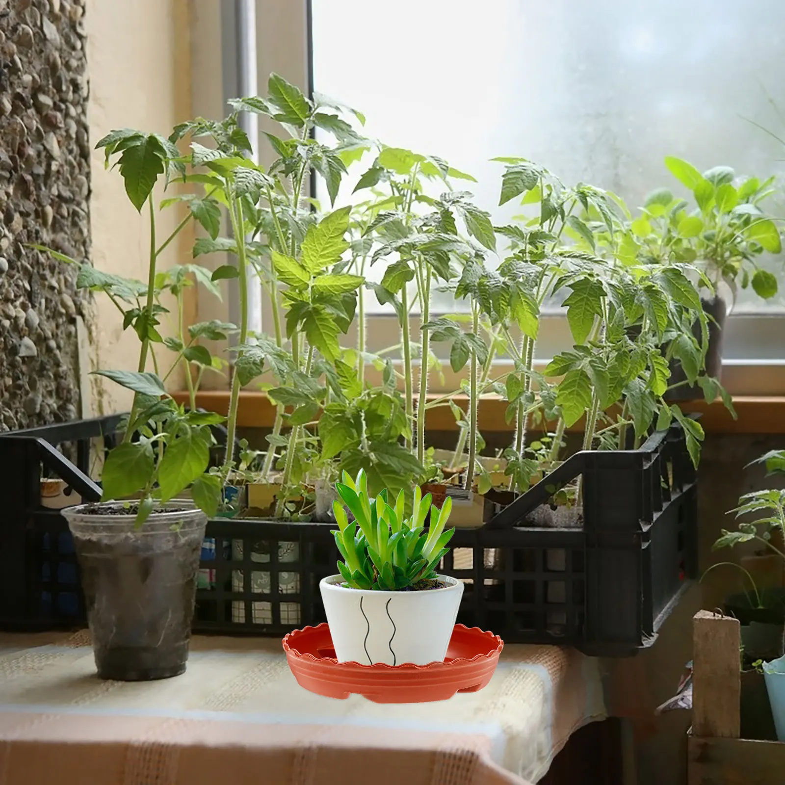 

10pcs Plant Saucer Tray Round Drainage For Indoor Plants Durable Plastic Pot Bonsai Garden Decor Water Catcher