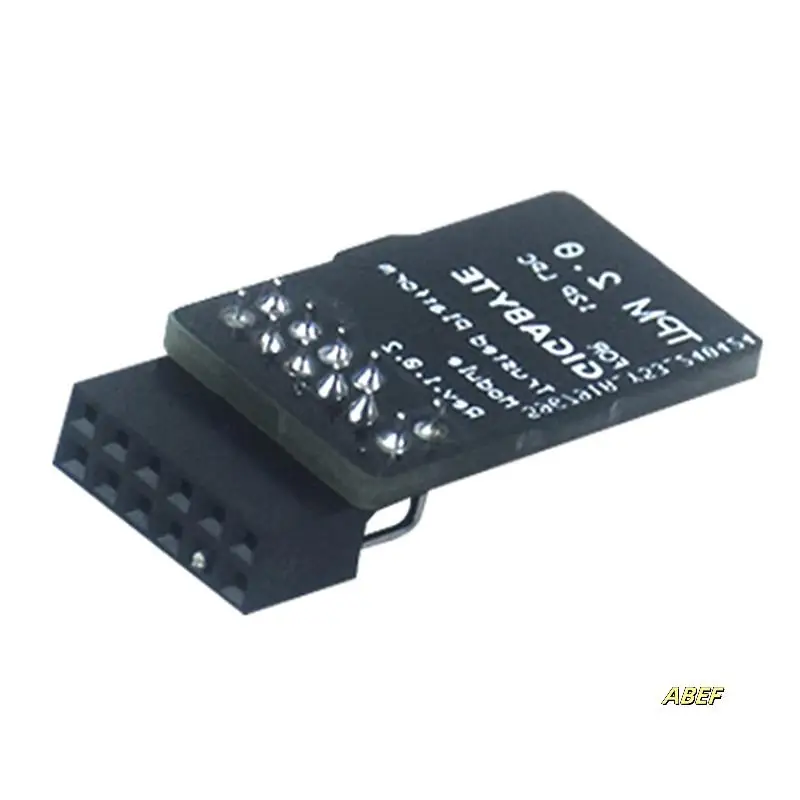 3X TPM2.0 Modul LPC 12Pin Modul mit Infineon SLB9665 Windows 11 Upgrade für Gigabyte Motherboard für GC-TPM2.0 S