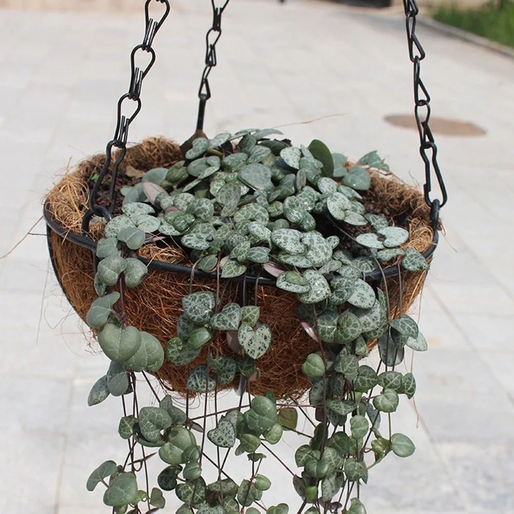 

Outdoor Coconut Fiber Flowerpot Lining Replacement Round Liners Hanging Basket Plant