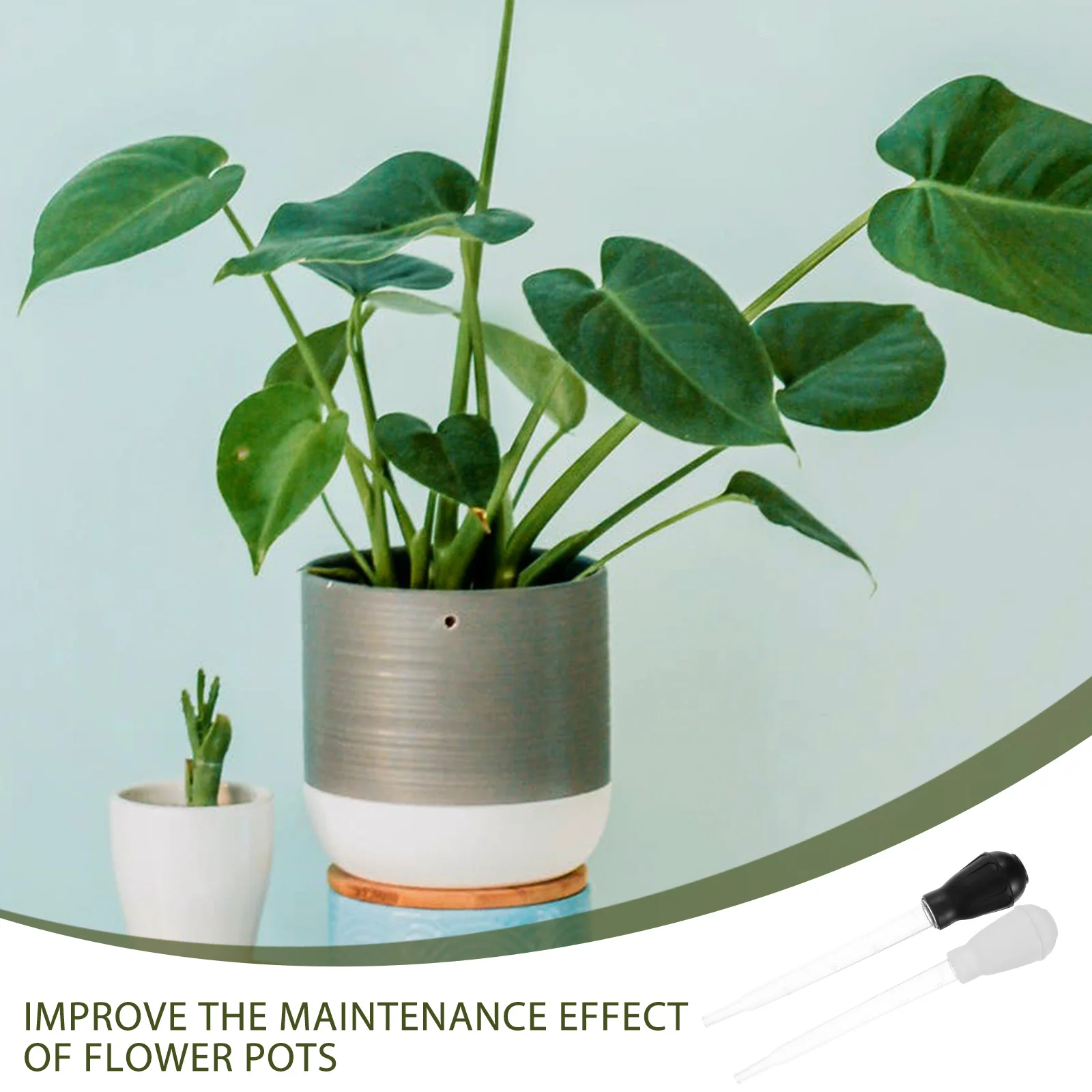 

2Pcs Plant Saucer Water Absorber Sucker Remover Simple Practical Maintenance Effect Improvement Plant Saucer Water Asborber