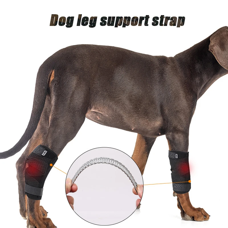 

Updated Protects Bandage Dog Arthritis Protector Cover Dog Leg Support Dogs Hock Joint Brace Pet Knee Pads Dogs Injury Recovery