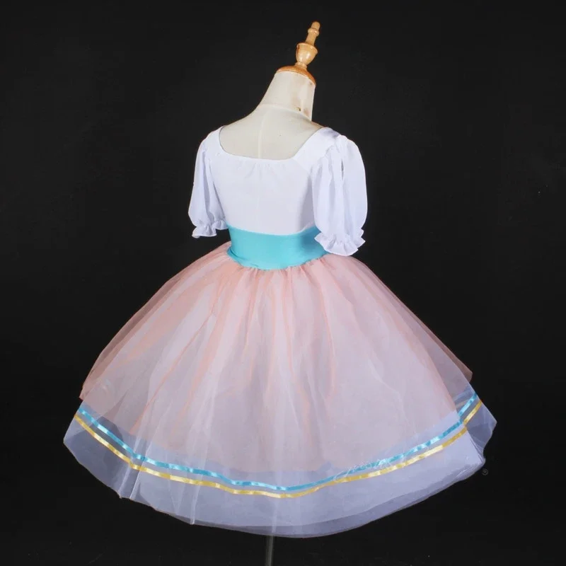 Meninas adulto ballet tutu bordado vestido de princesa crianças feminino desempenho palco dança traje aniversário carnaval vestidos