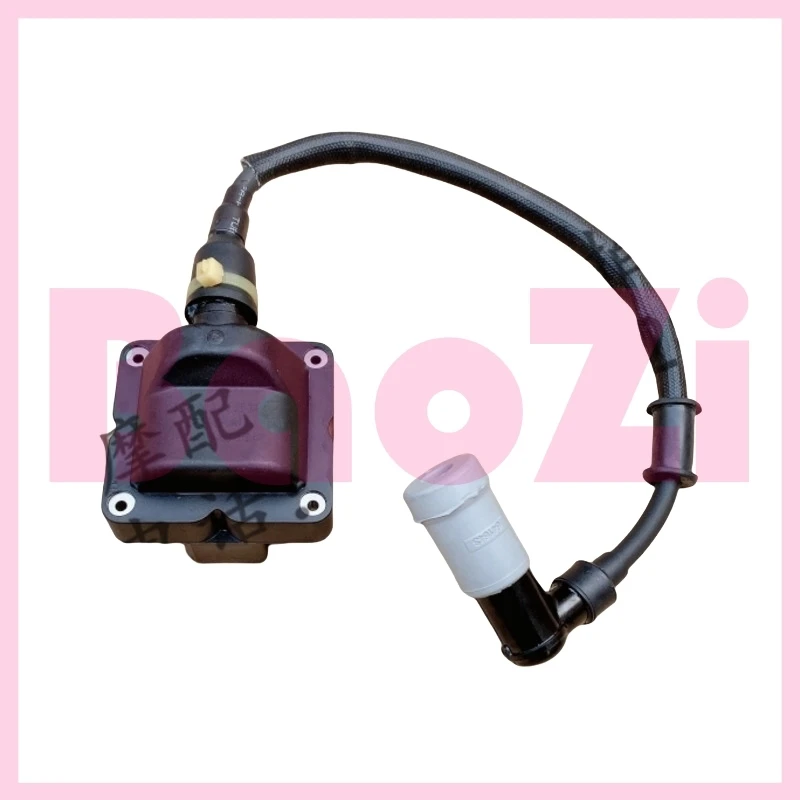 Ignition Coil Assembly for Piaggio Byq250t X7