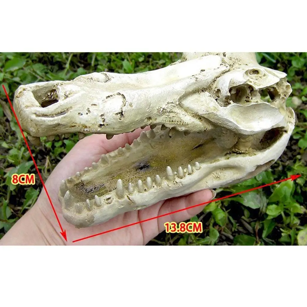 الزواحف Vivarium الديكور إخفاء الكهف حوض السمك تحت الماء زخرفة الجمجمة