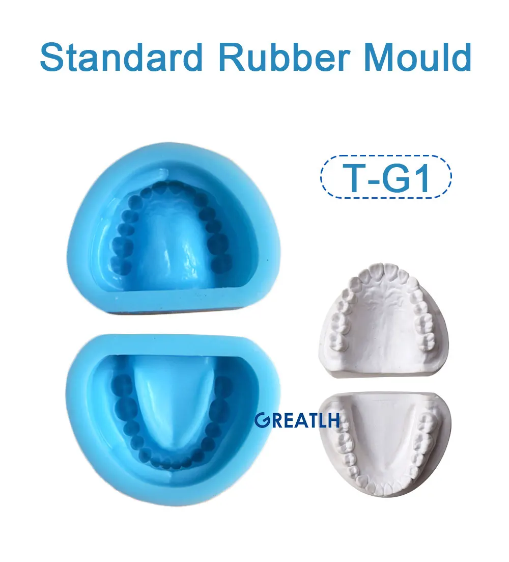 Dental Single Permnent Teeth Mould of Edentulous Jaw Complete Cavity Block Plaster Rubber Dental Instrument