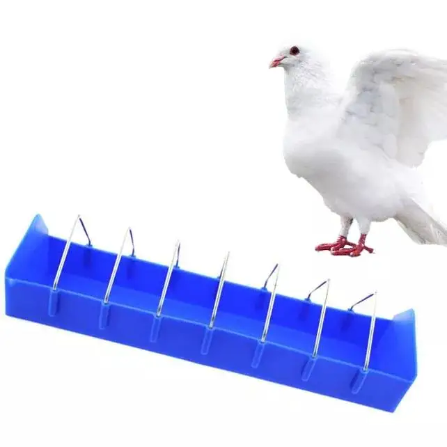 Wholesale Manufacturer Pigeon Supplies Bird Pigeon Plastic Iron Food Feeder