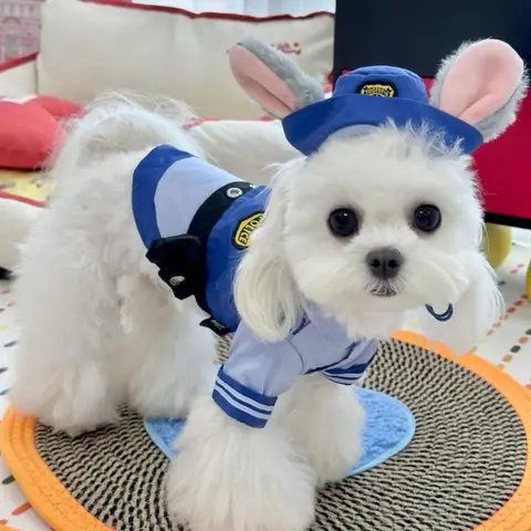 개 토끼 경찰관 코스튬 모자 세트, 재미있는 고양이 코스프레, 애완 동물 옷, 귀여운 토끼 역할 놀이, 개 고양이 용품