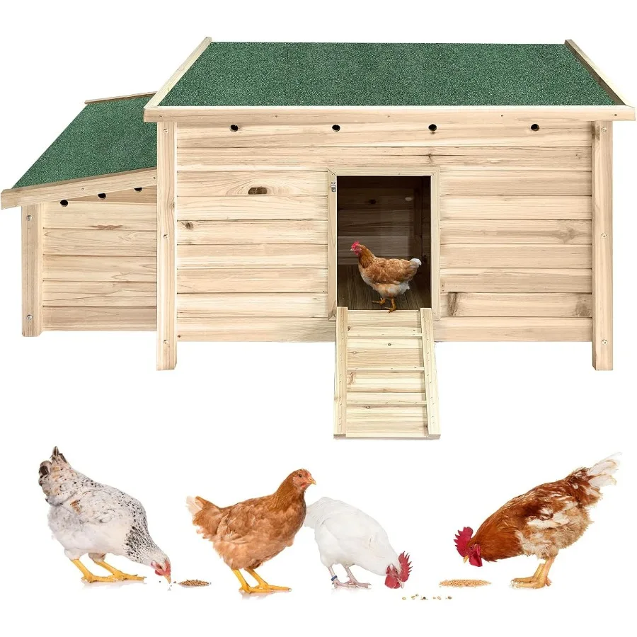 

Outdoor wooden chicken coop with double nesting boxes and ramp.