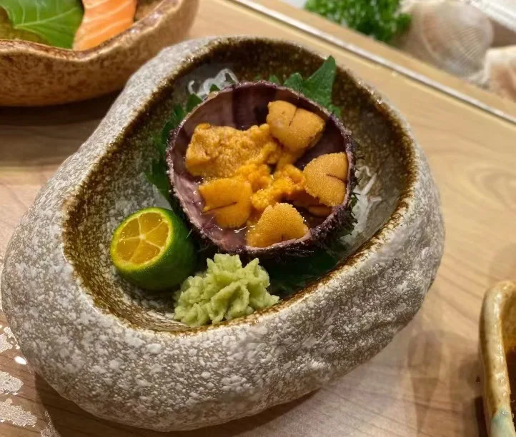

Cuisine-style ceramic tableware special-shaped stone nest plate sea urchin plate sashimi platter creative dish plate, snack