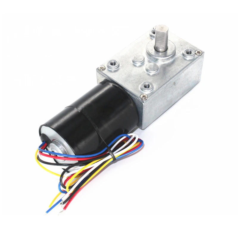 5840-3650 Brushless DC Reduction Motor 12V 24V Worm Gear Micro Adjustable Slow Motor BLDC PWM