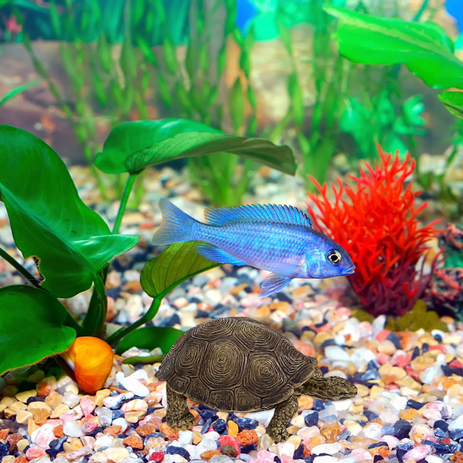 2Pcs Simulation Tortoise Plast - Marine Life Aquariums ulasan dan harga
