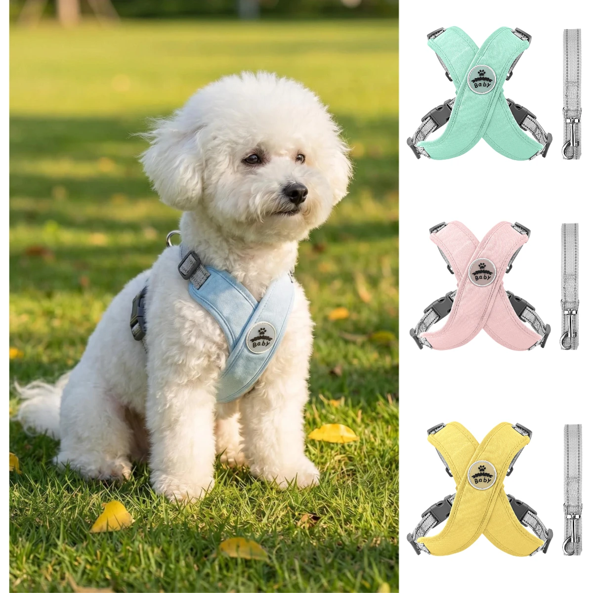 Pet X Supplies & Tack - Conjunto de Coleira e Guia para