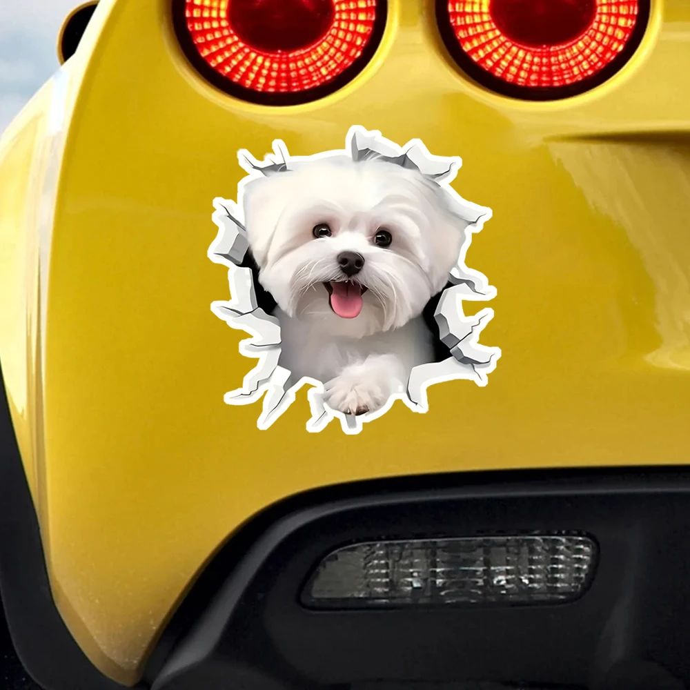 12x13cm Cute White Maltese Dog Waterproof Vinyl Car Decals For Window Bumper Exterior Scratch Block Decor Accessories - view 3