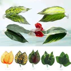 Betta Leaf Hammock BettaFish Leaf Bed Resting Leaf Pad Natural Environment Fish Spawning Grounds Fishtanks Accessories