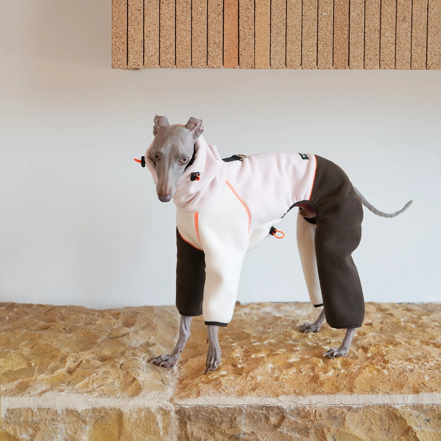 

Anti-static Antibacterial Fabric Sweatshirt for Dogs in Winter High-Neck Color-Blocked 4-legged Fleece Coat for Italy Greyhound