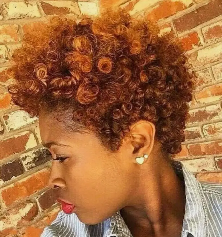 Peruca Curta Curly para Mulher, Afro Sintético, Perucas Marrons