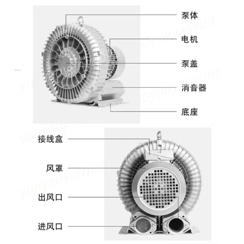 Industrial High Pressure Vacuum Air Pump Vortex Ring Regenerative Side Channel Blower for Fish Pond Aquaculture Farming view 2