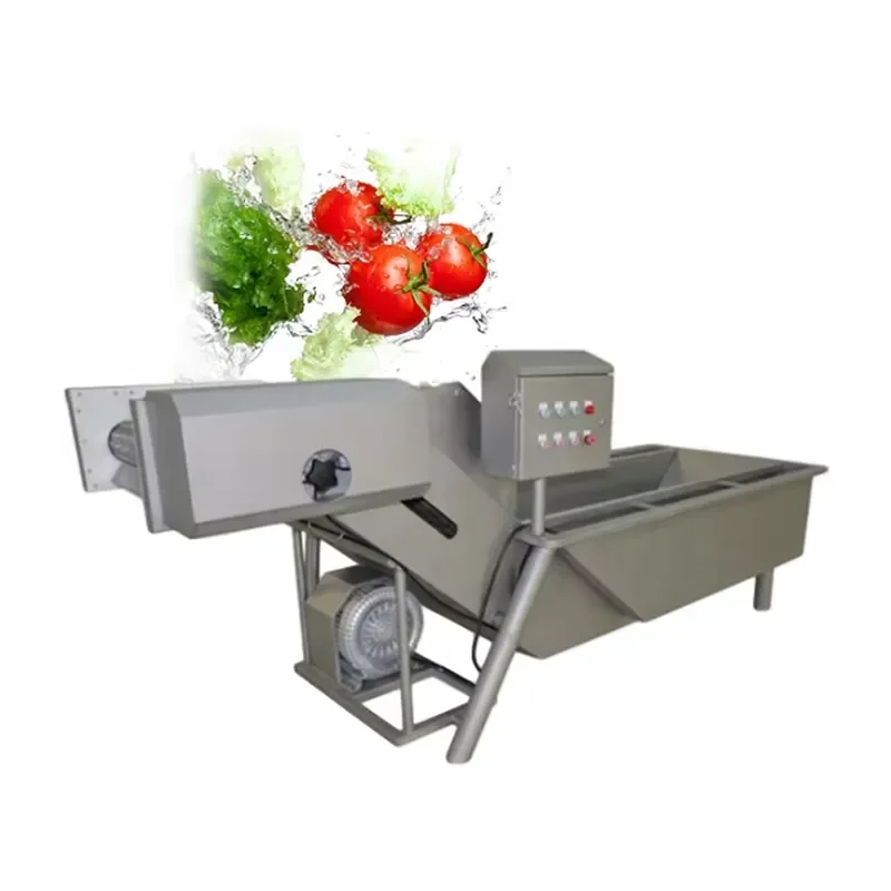 Fruit and Vegetable Air Bubble Washing Machine Eggplant Washer Machine with Water Spray